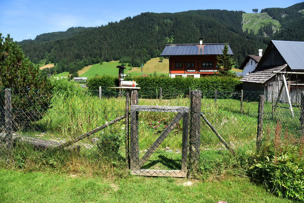 Fruehstueckspension Pachler Gosau Luaran gambar