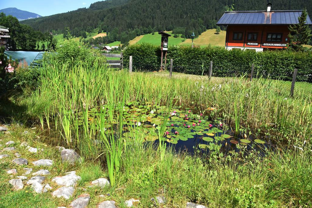 Fruehstueckspension Pachler Gosau Luaran gambar