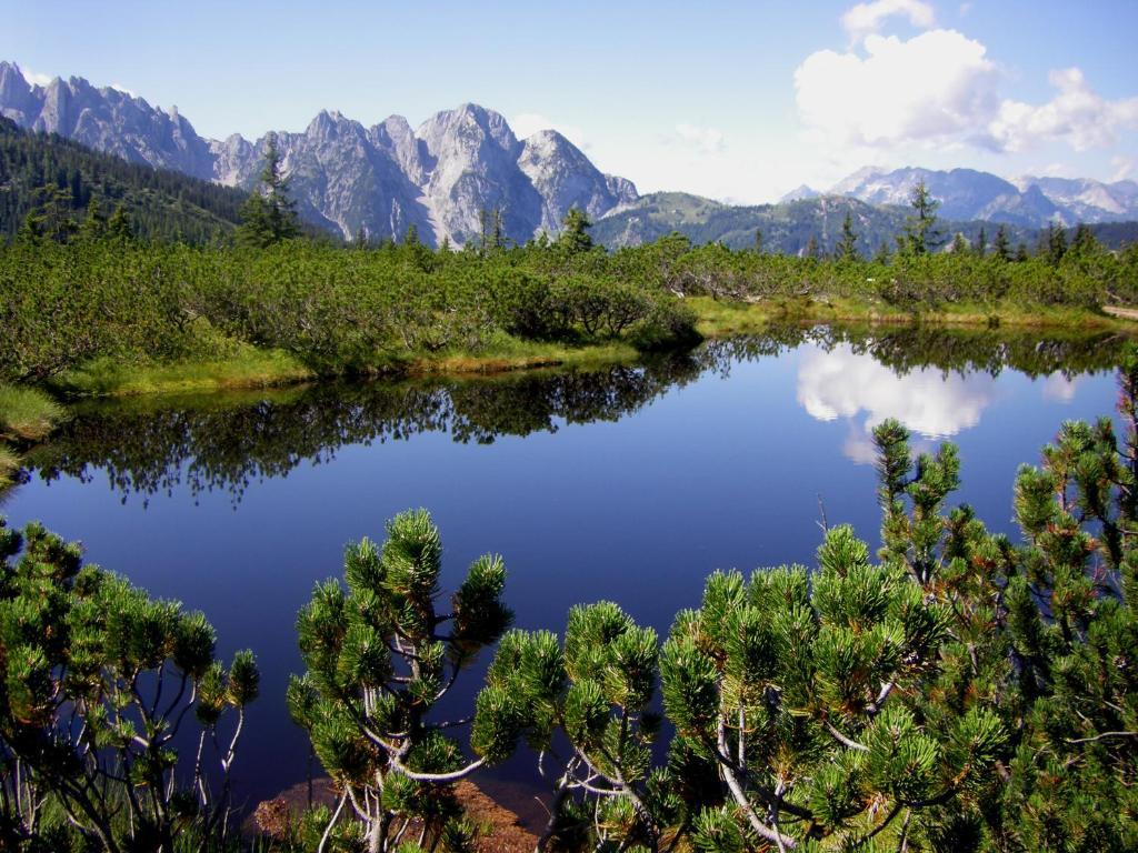 Fruehstueckspension Pachler Gosau Luaran gambar