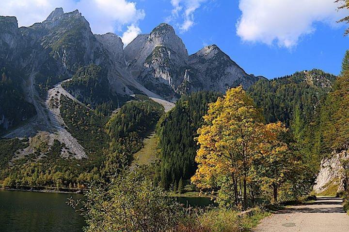Fruehstueckspension Pachler Gosau Luaran gambar